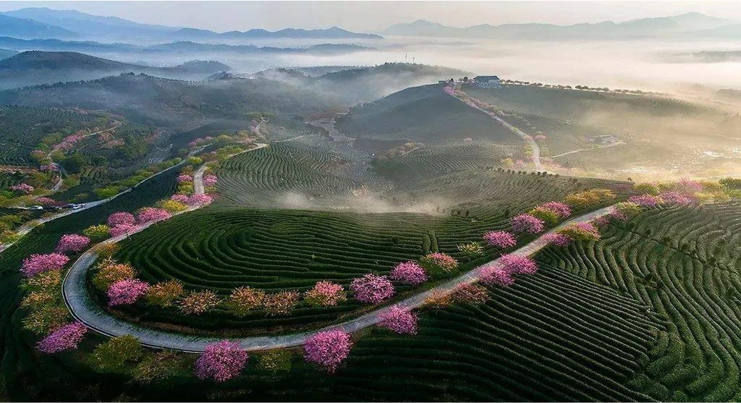 中国·洞庭茶谷走廊总体策划暨可行性研究报告