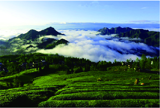 《东山峰旅游度假区总体规划》