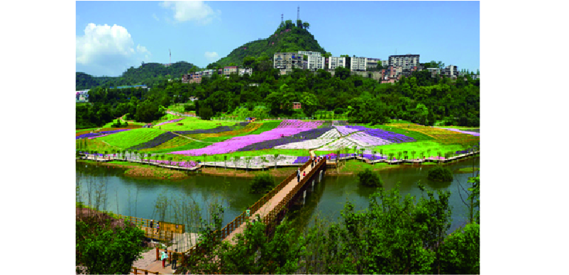 《冷水江市岩坝岭生态旅游休闲农业园建设项目可行性研究报告》