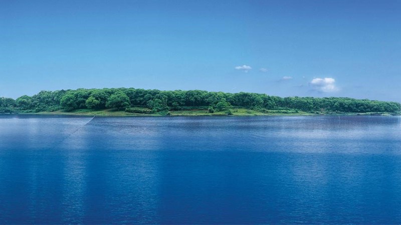 清水湖创建国家4A级景区创建咨询、申报资料项目